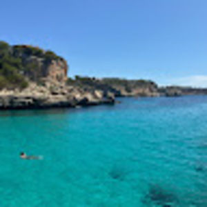 Meet your Posher, Haddie